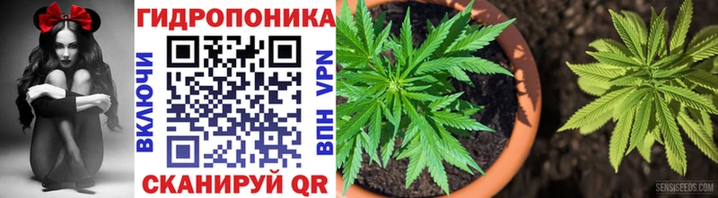 Бошки марихуана тримм Новомичуринск